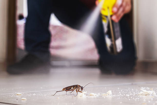 Best Affordable Pest Control Services  in Sharon, TN