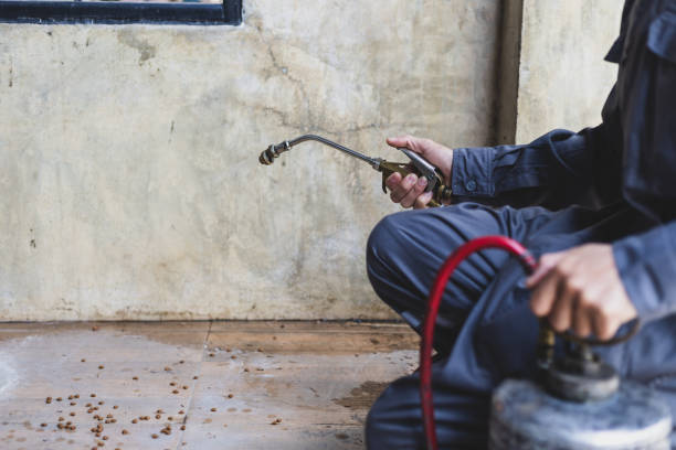 Best Pest Control Cost  in Sharon, TN